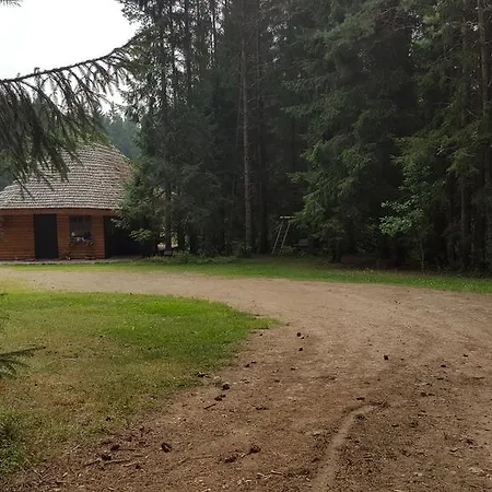 Murmulmuiza